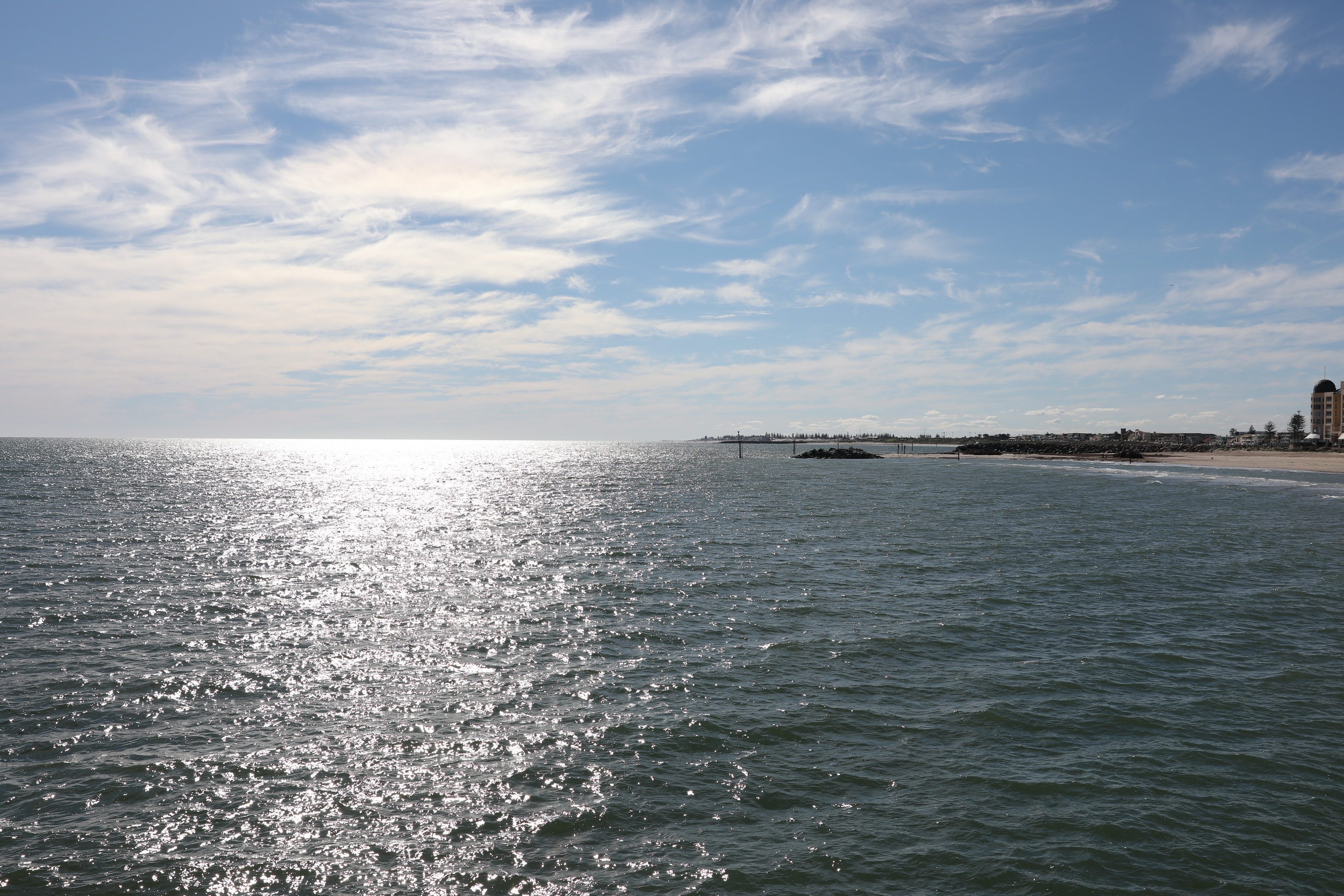 2019 08 04 13 51 36 Canon EOS 5D Mark IV 0005